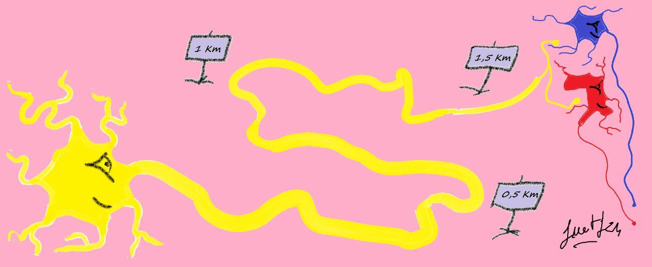 Capítol 1. La importància de comunicar senyals a distància 1 Distancia