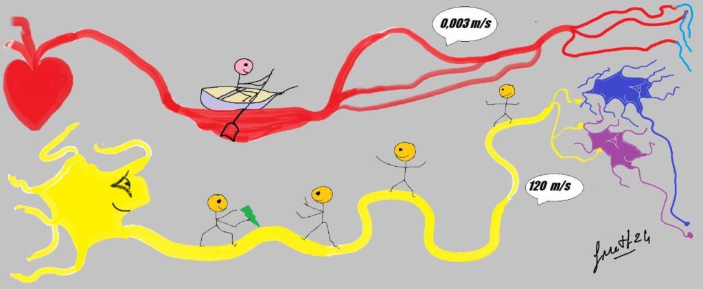 Extracte del llibre Per que les neurones 2 2 600dpi2