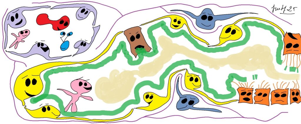 Figura 1. LAigueta arriba al pulmo 600dpi