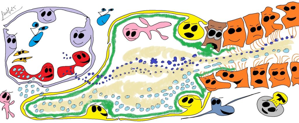 Figura 2. intercanvi de gasos 600dpi