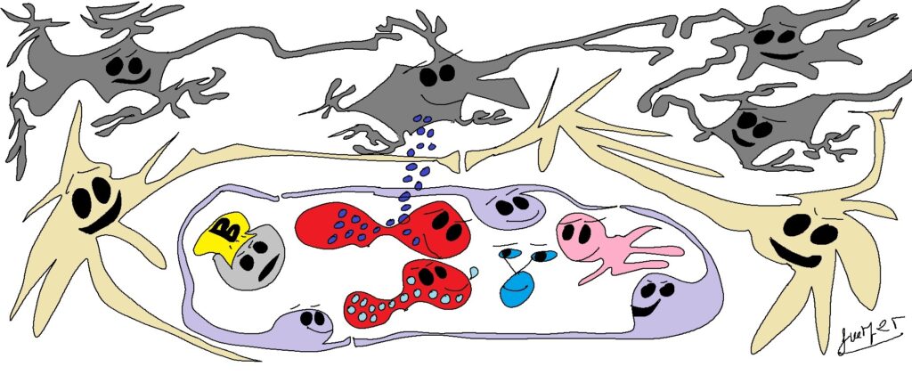 Figura 3. Intercanvi de gasos amb neurones 600dpi