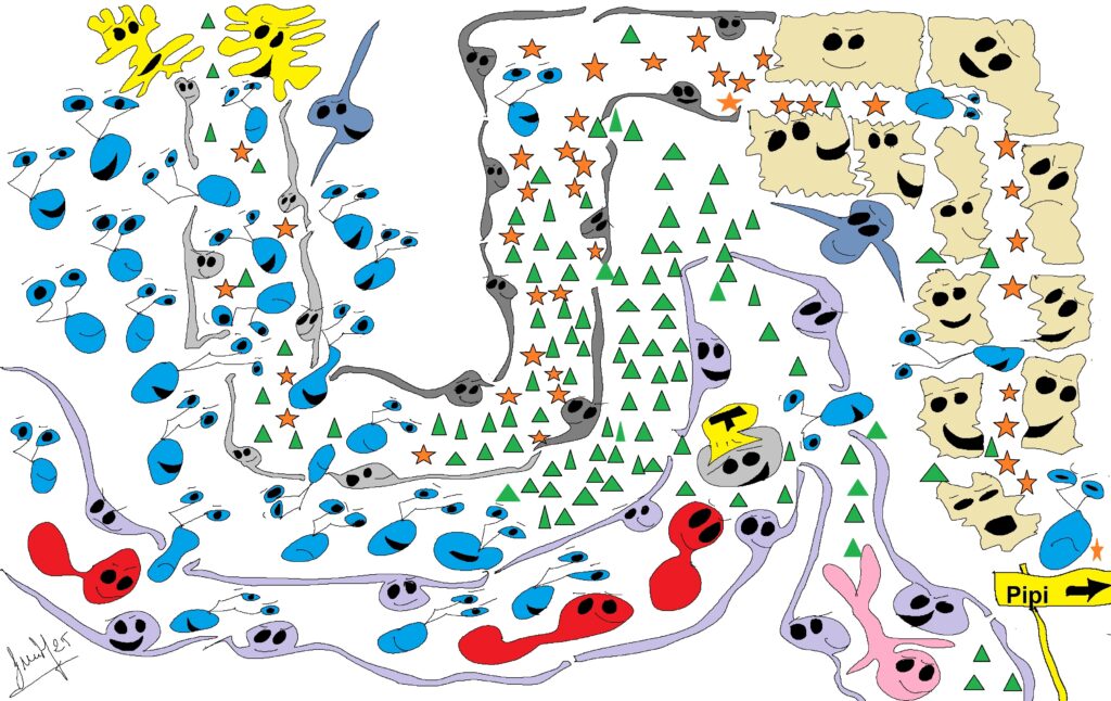 Capítol 3. L’Aigueta i el pipi 4 Figura 4. Reabsorcio 2 600dpi