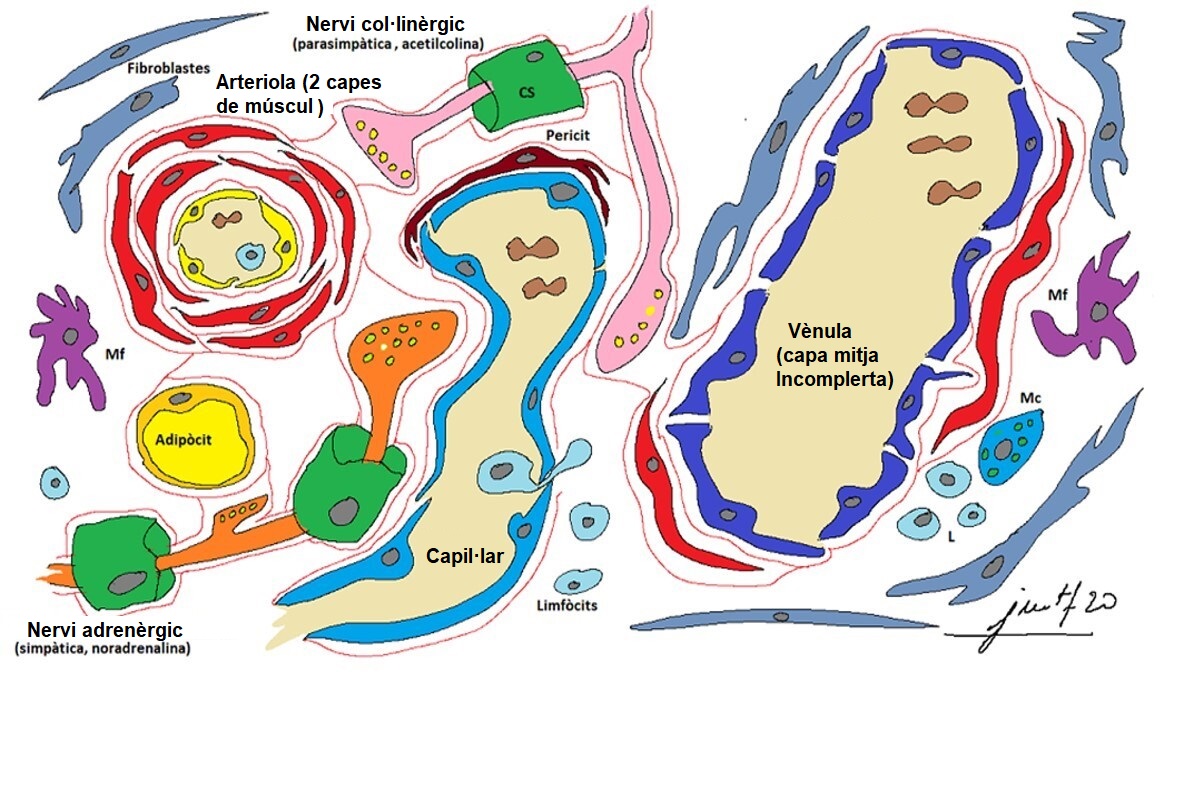 Pissarra37 corregida 1