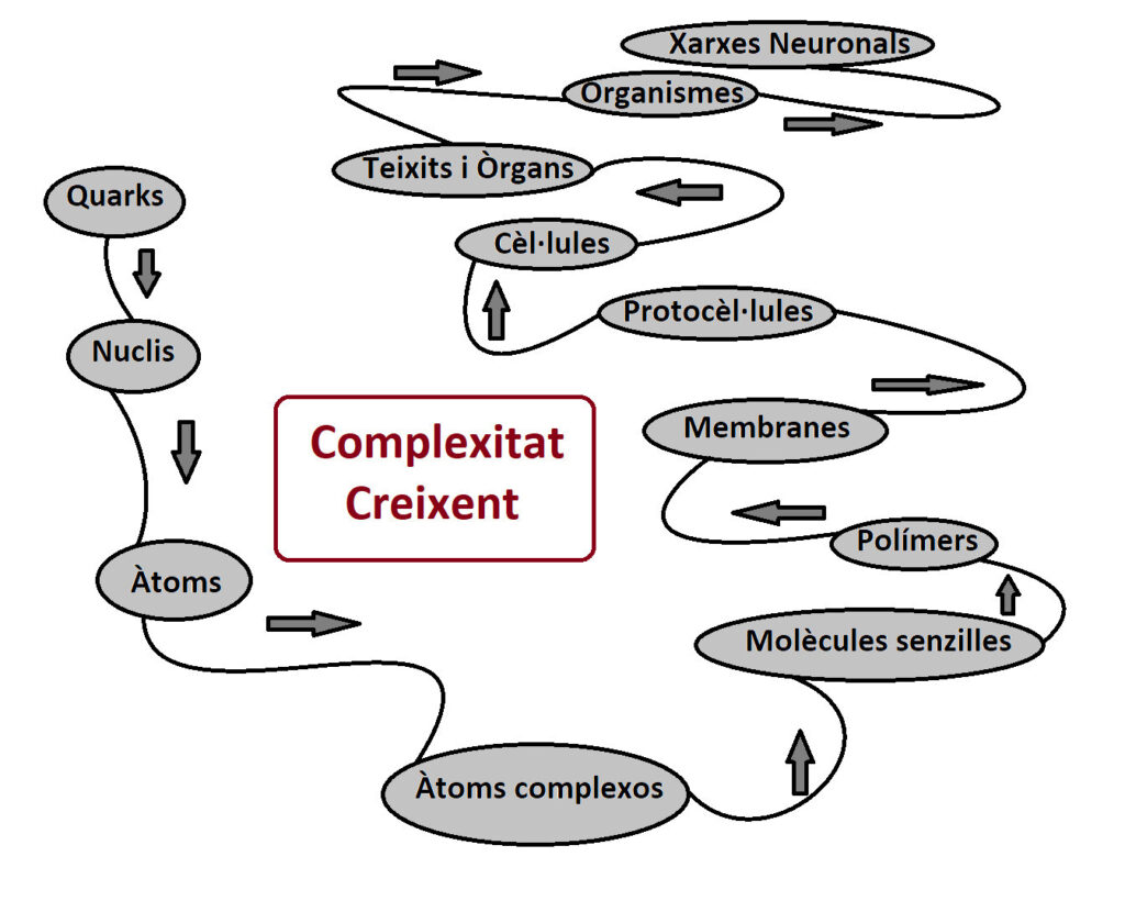 Capítol 3. La vida és un estat ineludible de la matèria. 1 Complexitat creixent 300dpi 600dpi