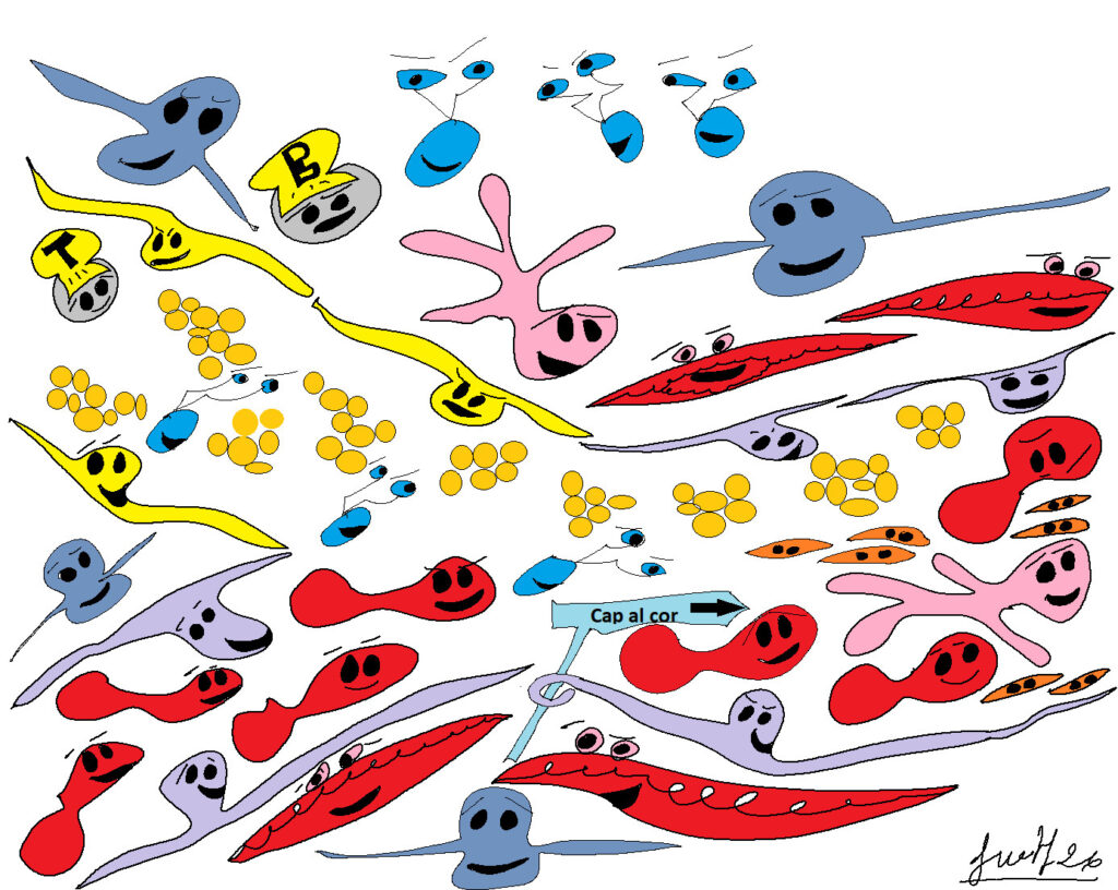 conducte toracic1