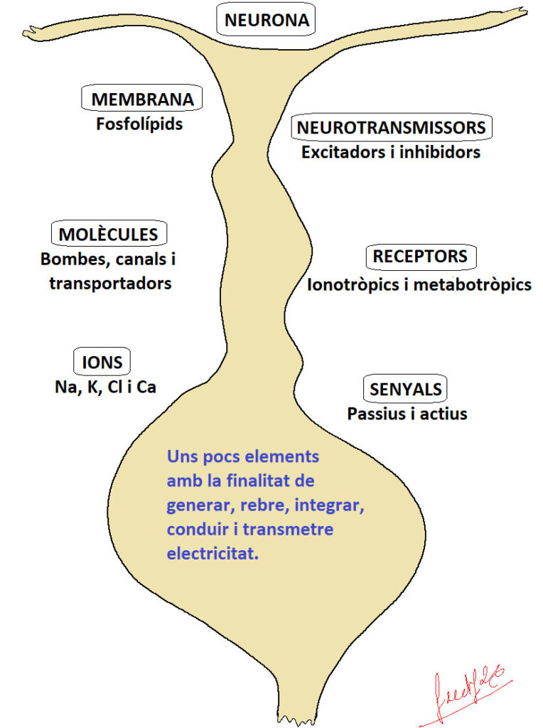 uns pocs elements q06YSXP3