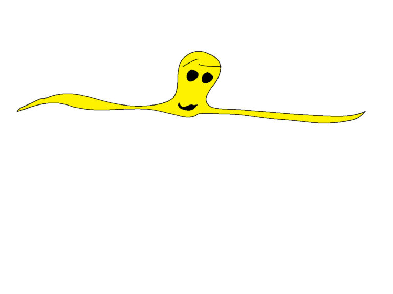 Primeta groga1