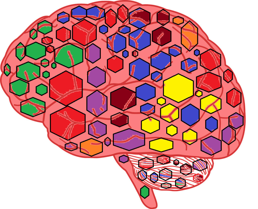 brain 155656 1280 2 600dpi