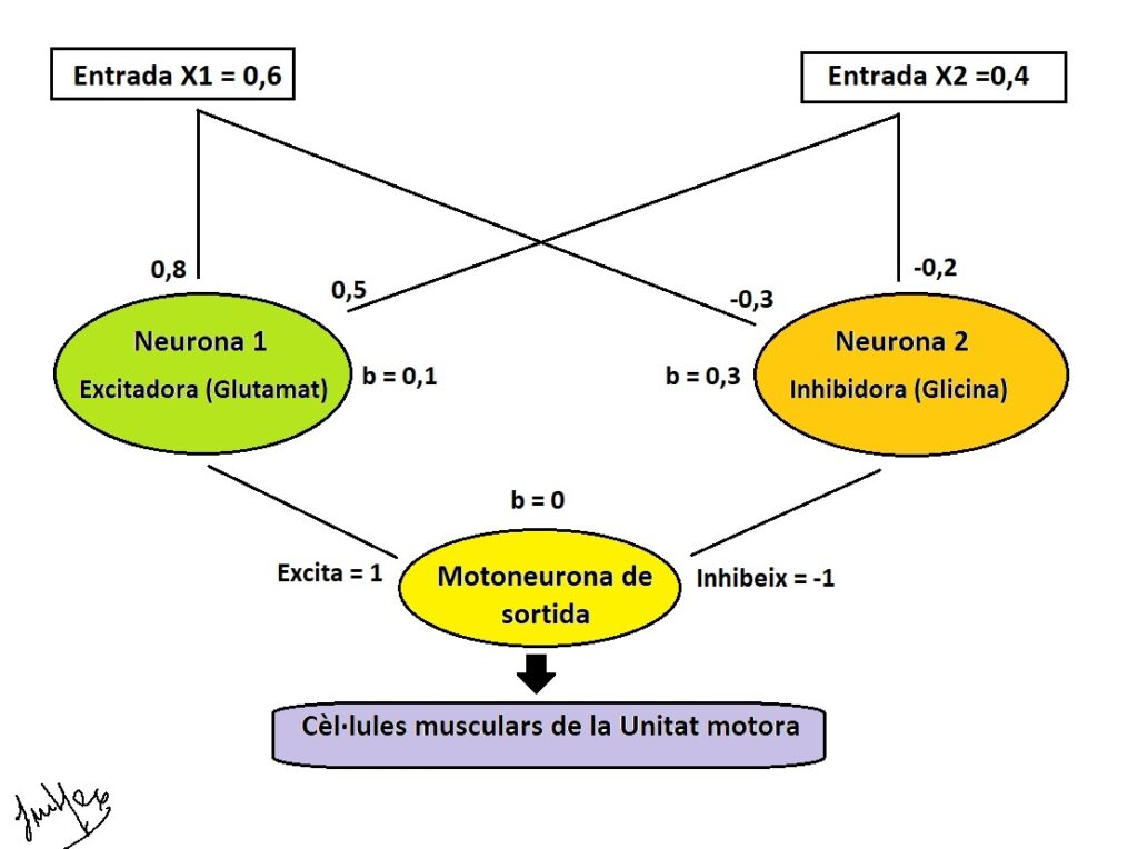 neurones artificials