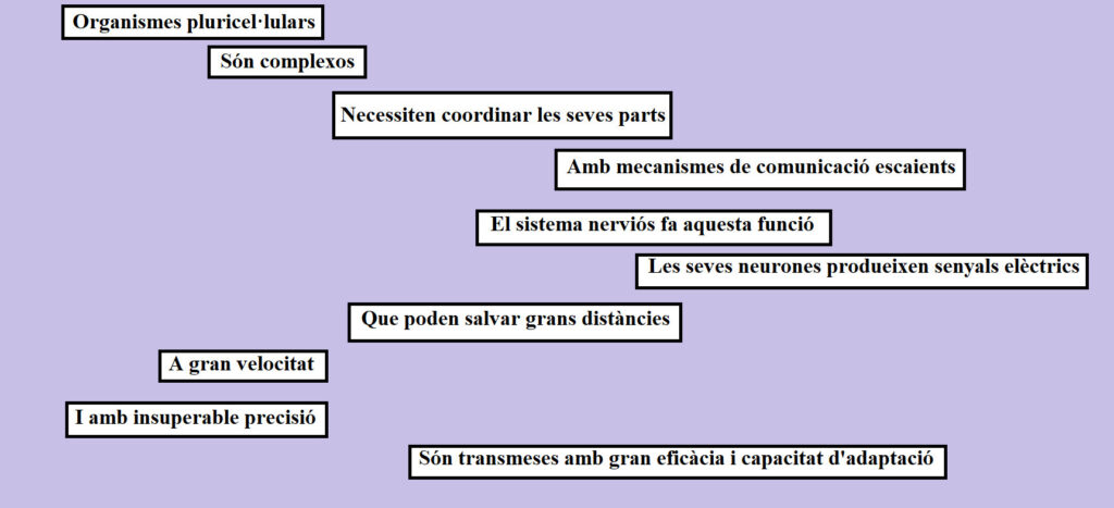 Figura 0 millorada1